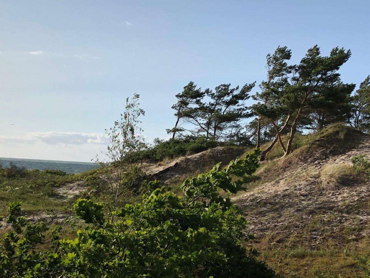 Haus Kranich Im Duenenwald 300M Zum Strand 奥茨塞巴德·迪尔哈根 外观 照片